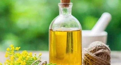 雙象榨油機(jī) 雙象榨油機(jī)