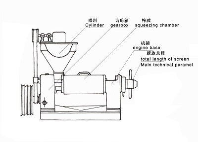 雙象榨油機(jī) 雙象榨油機(jī)